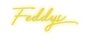 Custom Neon: Feddys