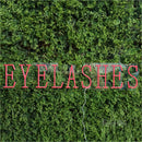 EVELASHES Led Custom Neon Sign