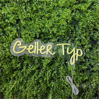 Geller Typ Led Custom Neon Sign