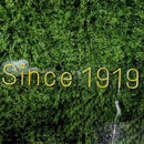 Since 1919 Led Custom Neon Sign